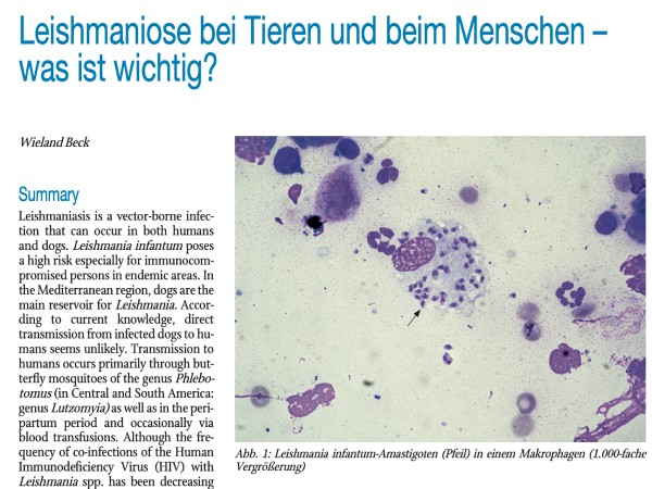 Leishmaniose bei Tieren und beim Menschen–wasistwichtig?