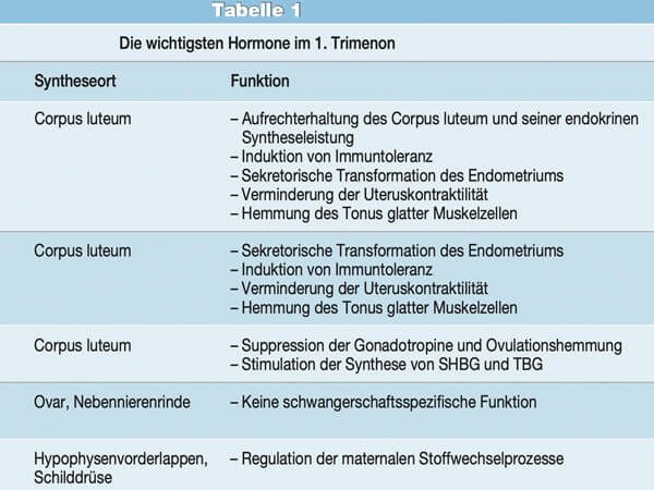 Endokrine Regelkreise in der Schwangerschaft