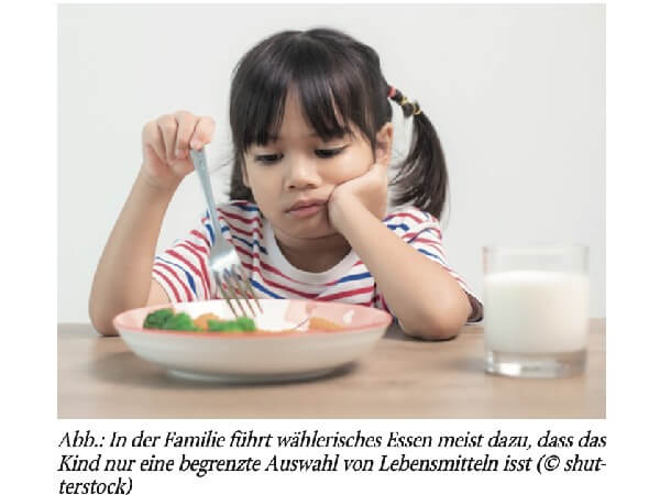 Wenn Kinder wählerisch essen –»Picky Eating«