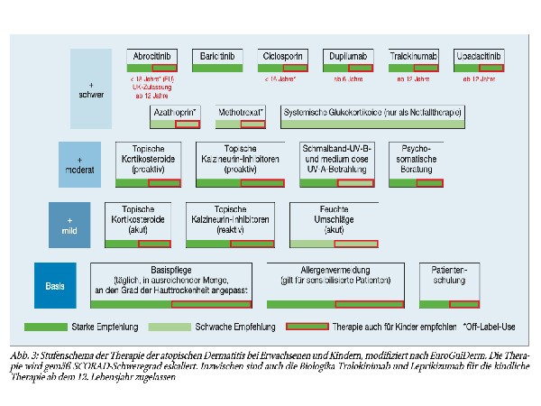 Atopisches Ekzem im Kindesalter
