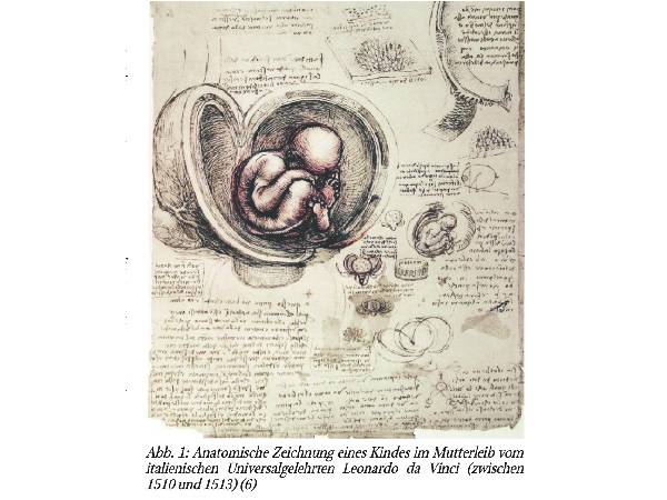 Das Unsichtbaresichtbar machen. Teil 1: Visualisierung ungeborenen Lebens