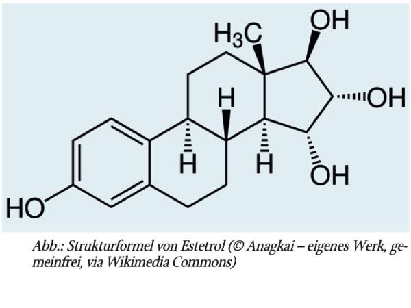 60 Jahre Estetrol – ein wiederentdecktes bioidentisches Estrogen feiert Geburtstag