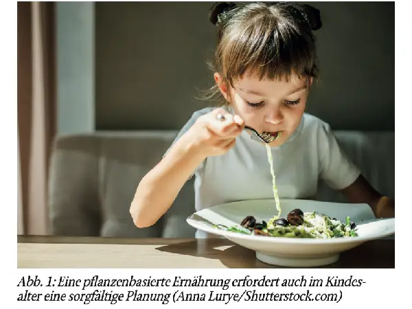 »Plant-based diets« – Vorteile und Risiken